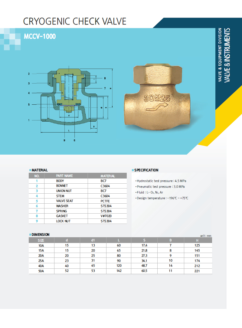 Cryogenic Check Valve