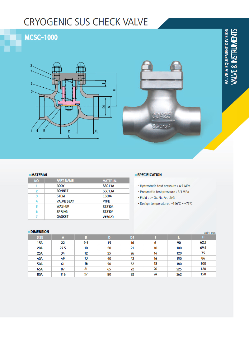 Cryogenic Sus Check Valve