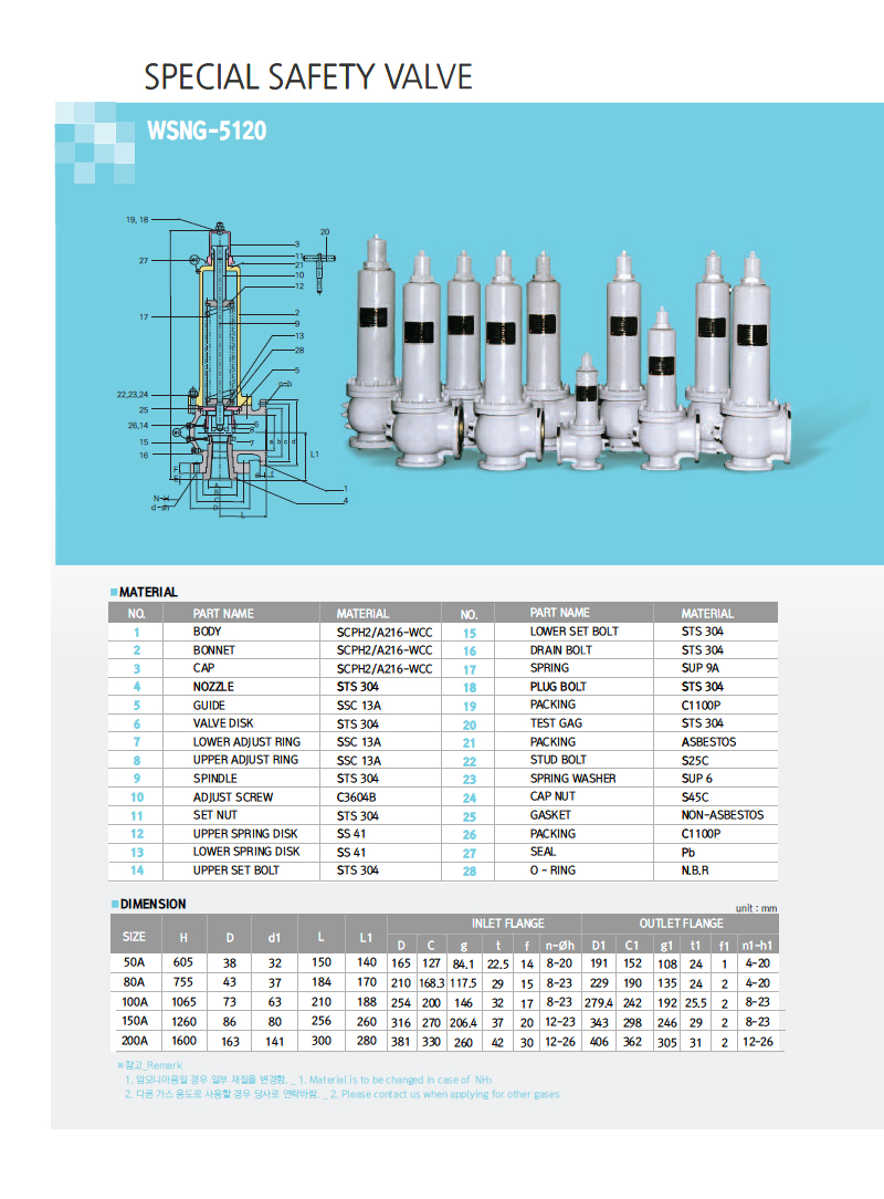 Special Safety Valve