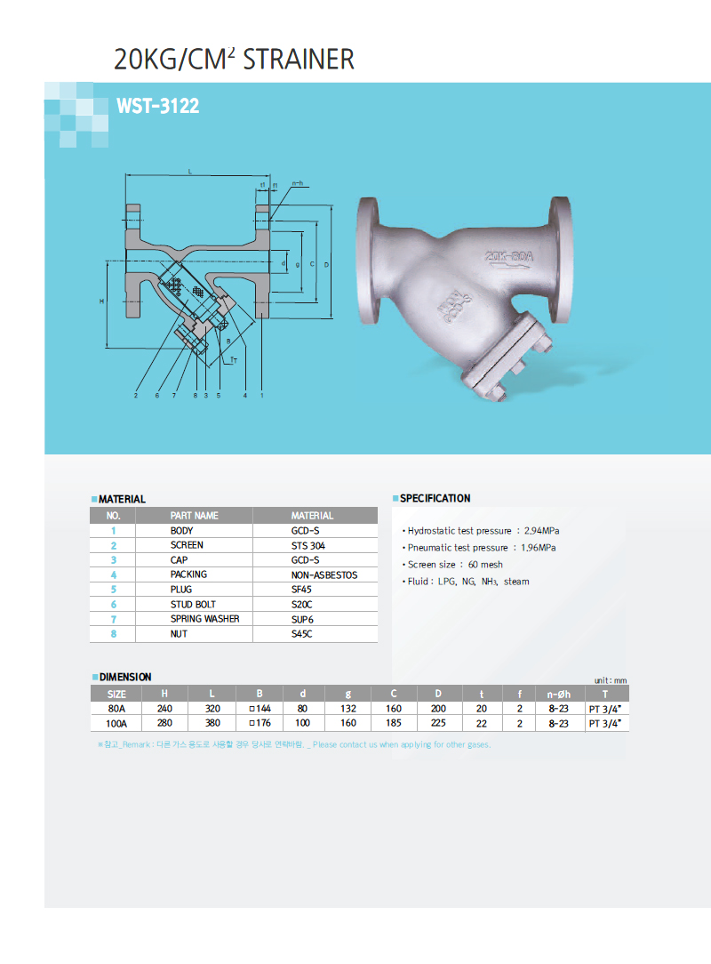 20kg/cm2 Strainer